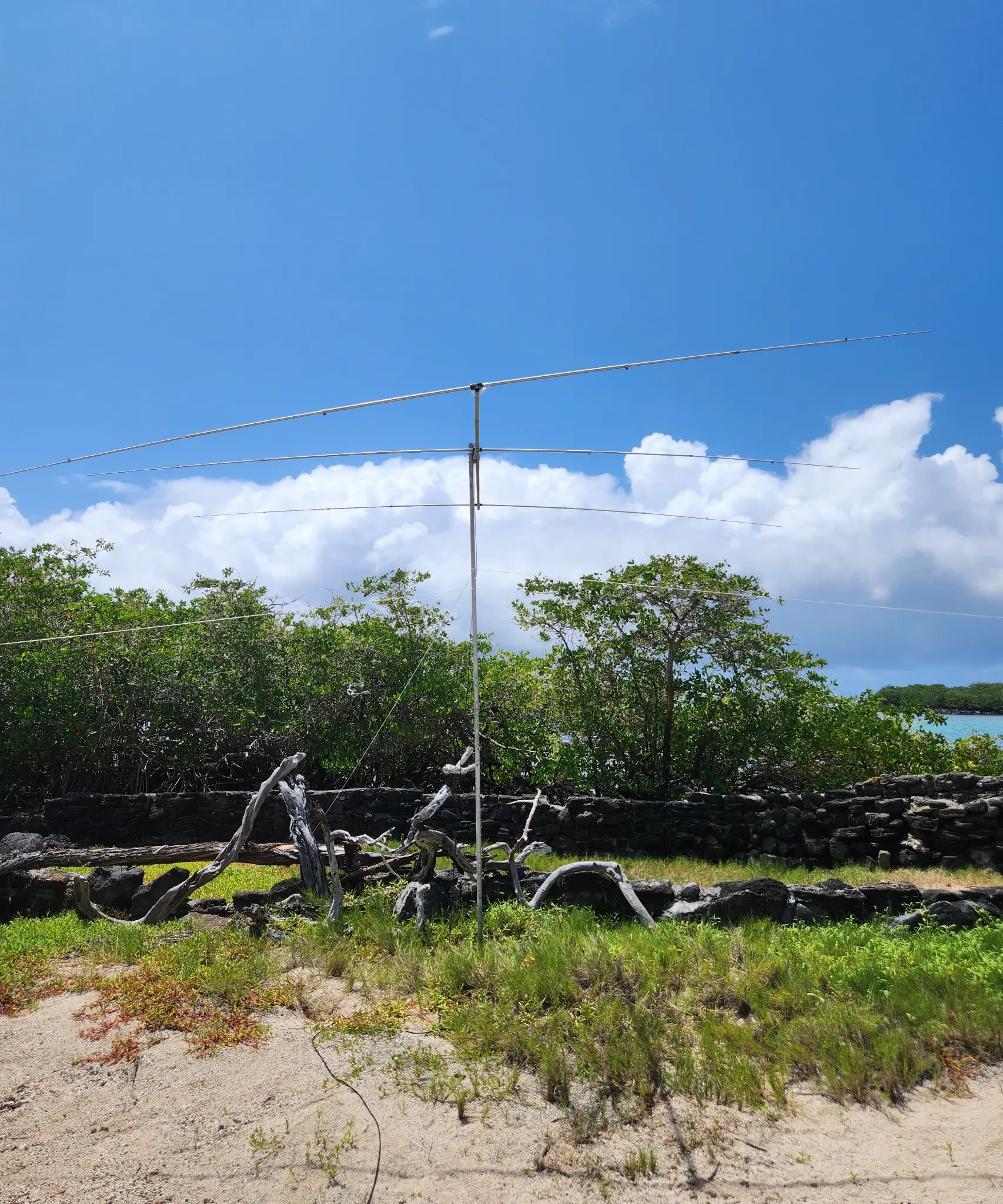 Galapagos landscape