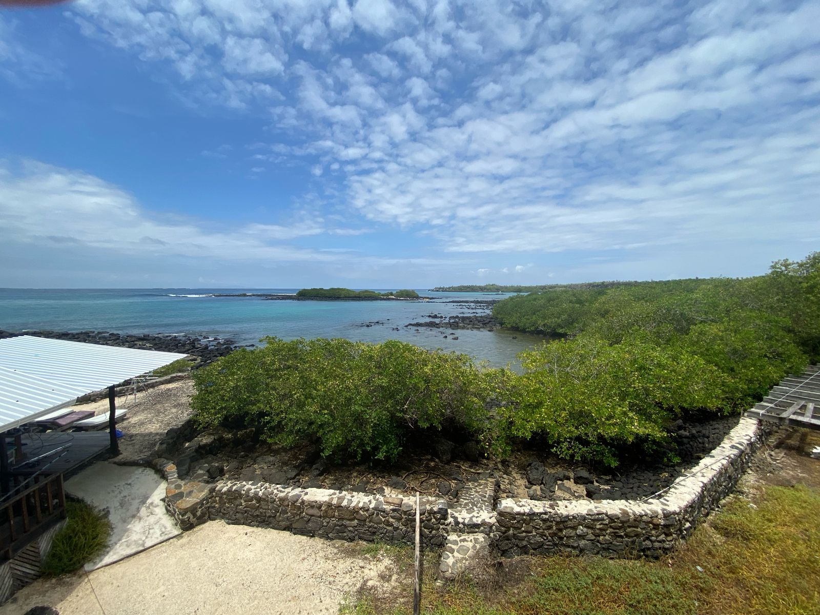 Mangrove and coastal landscape