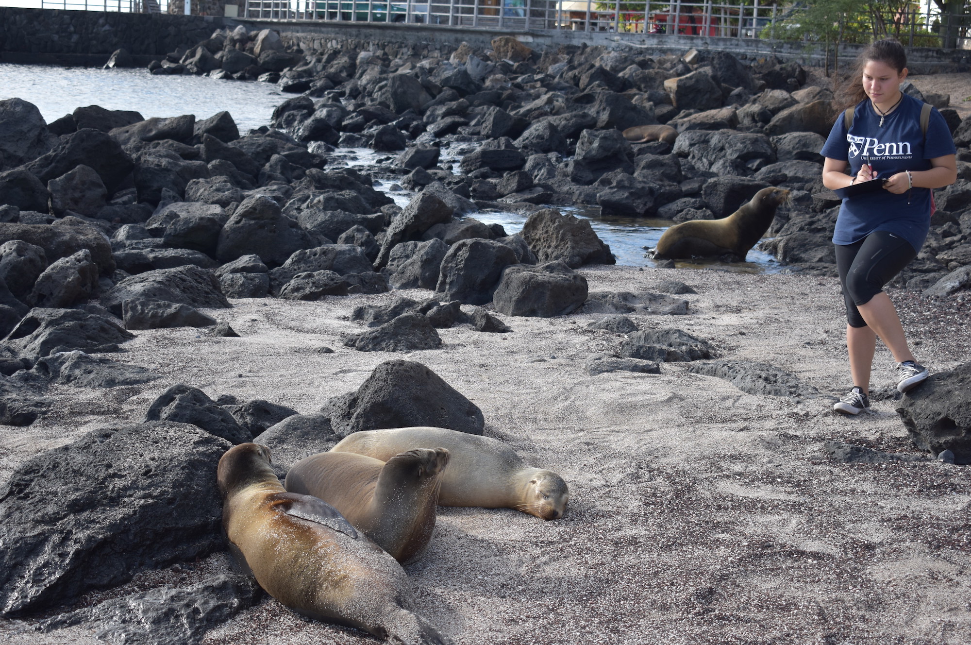 Marine biodiversity